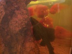 -御花园·粤菜·海鲜火锅(中山公园店)