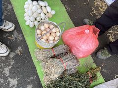 -蒲河大集