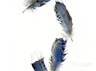 好想学画画，画出彩色的世界
