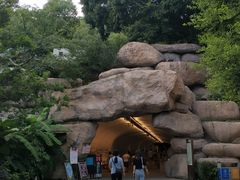-乌山风景区