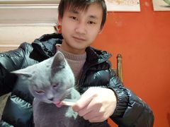 -猫色咖啡·猫咖