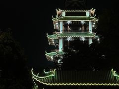 -桂湖森林公园