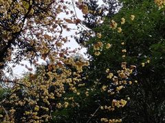 -成都杜甫草堂博物馆