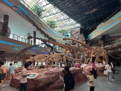 -安徽省地质博物馆