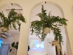 -春树下·树屋花房西餐厅(罍街AS1980店)