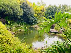 -腾冲洞山温泉村