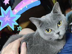 -平行世界·猫咖(首经贸店)