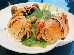 花雕醉熟蟹-蟹榭·莳鲜(虹桥高岛屋店)