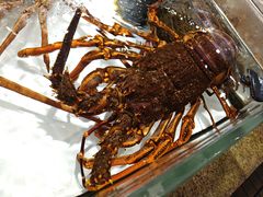 -万龙洲海鲜(南新仓店)