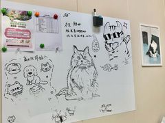 -美联众合爱康动物医院•复杂内科•肿瘤科•牙科•腔镜诊疗中心