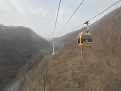 -栾川竹海野生动物园