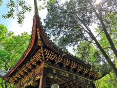 -汇龙潭