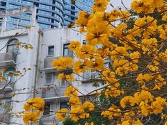 -福满园大酒楼(梅林店)