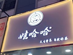 门面-娃哈哈·奶茶(武林店)