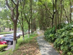 -千龙湖生态旅游度假区