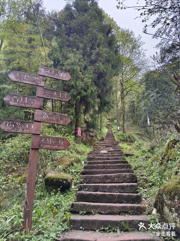 四川泸州~叙永~丹山风景区(玉皇观)-大众点评