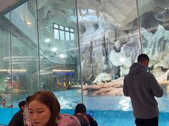 -帝企鹅自助餐厅•儿童岛•真企鹅(长隆企鹅酒店)