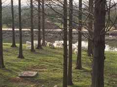 -上海怡沁园度假酒店