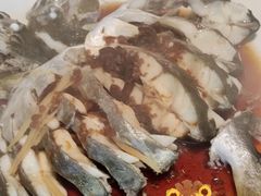 -天鹰观渔(梦园店)