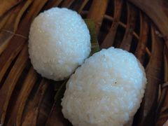 茨毛圆子-双塔老饭店