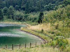 -武陵山森林公园