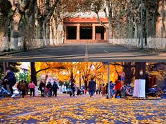 -四川大学(望江校区)