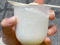 -洪馨椰子