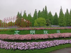 -东平国家森林公园