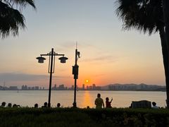 -厦门海湾公园游乐场