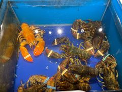 -渔家大院·地道威海菜(石岛店)