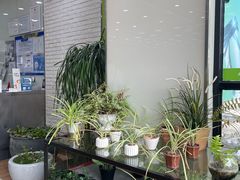 -813芭依珊 BAESAn(皇冠十畝地店)
