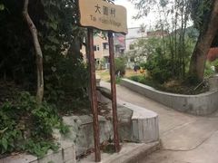 -南丫岛