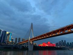 -一只烧鸡公(解放碑店)