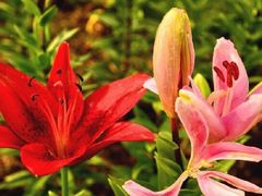 -长春公园(普阳街道)