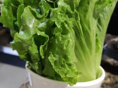 生菜-黄记煌三汁焖锅(悦方IDmall店)