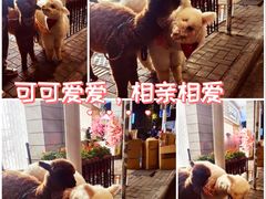 -巴公房子