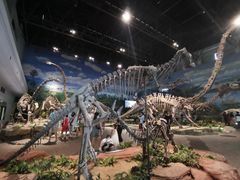 -自贡恐龙博物馆
