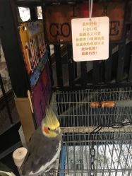 -日月刺青工作室·高端纹身