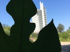 -天津工业大学(河东校区)