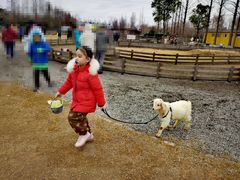 -前小桔亲子创意农场·草莓采摘·露营烧烤