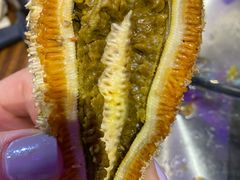 海星-蚝堡海鲜·威海菜·海肠捞饭·烧烤·亚洲吃蚝公司(幸福门店)