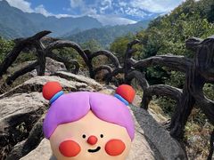 -秦岭终南山世界地质公园翠华山景区
