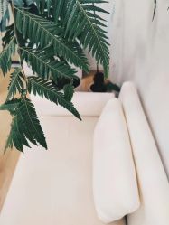 -植蔻妍倍儿专业脱毛·皮肤管理