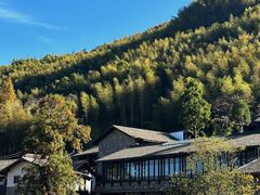 -泽雅景区