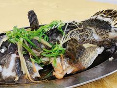 -都斛海鲜街