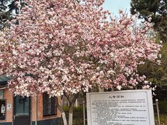 -湛山寺