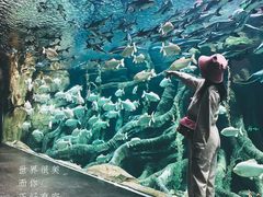 -哈尔滨波塞冬海底世界