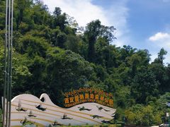 -西双版纳原始森林公园
