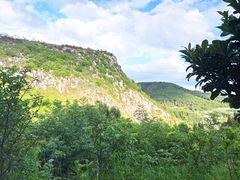-长虫山生态公园风景林