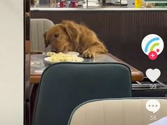 -奉天蚨祥饺子馆